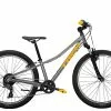 Barncykel Trek Precaliber 24 8-växlad Dämpad Grå