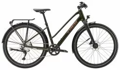 Hybridcykel Trek Dual Sport 3 Eq Stagger Gen 5 Dam Grön