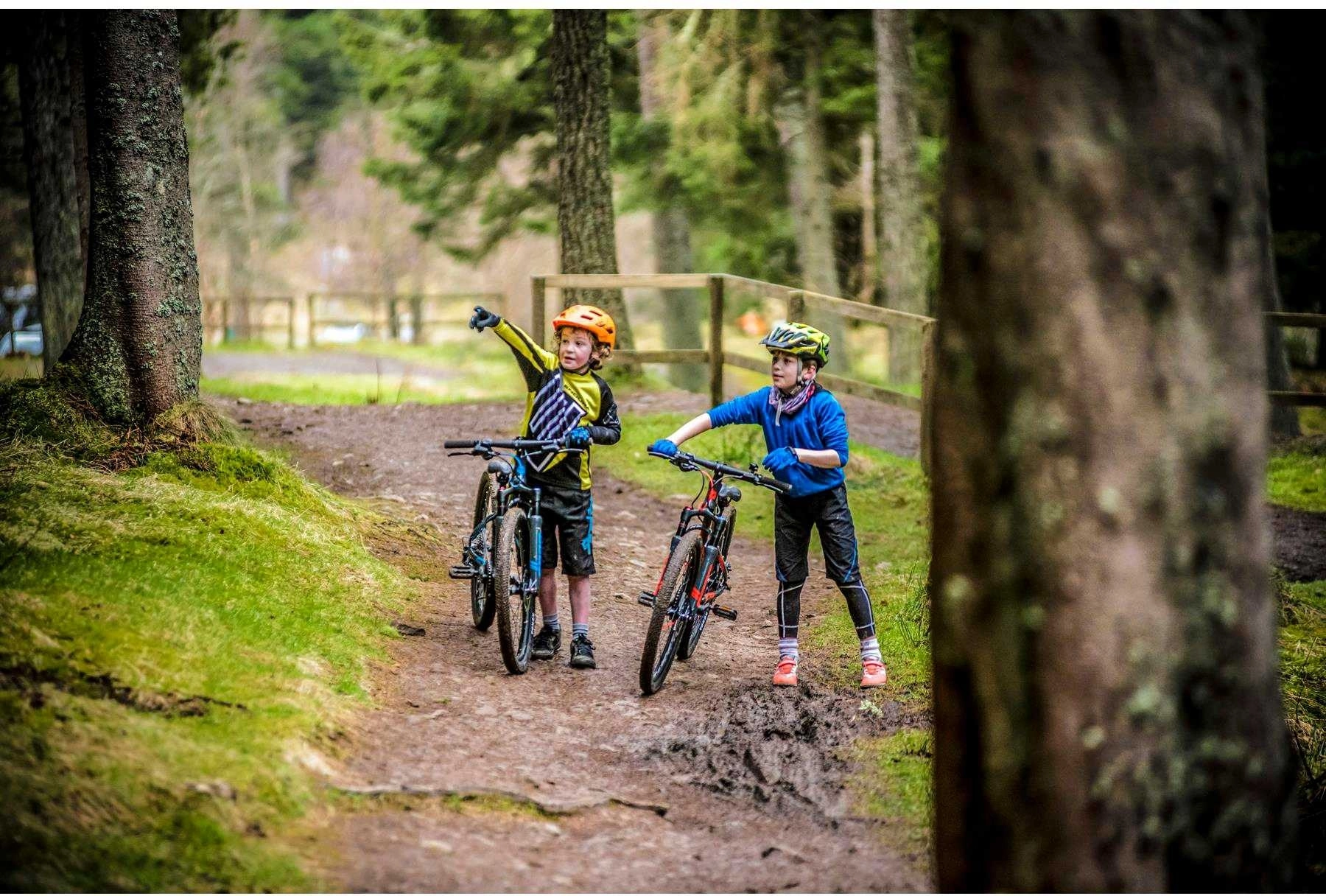 Frog Bikes Frog Mtb 62 Harmaa Metallic/Neonsininen 5 Frog Bikes Frog Mtb 62 Harmaa Metallic/Neonsininen - Image 5