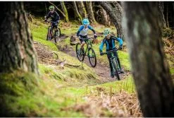 Frog Bikes Frog Mtb 69 Harmaa Metallic/Neonpunainen -Trek Myyntikauppa redgreen 2