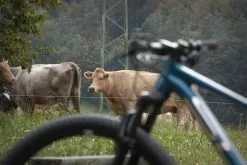 MTB Superior XF 919 RC 14 MTB Superior XF 919 RC -Trek Myyntikauppa xf 919 rc matte petrol silver 8